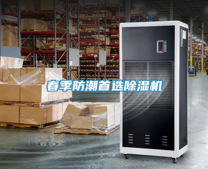春季防潮首选小黄片直播视频
