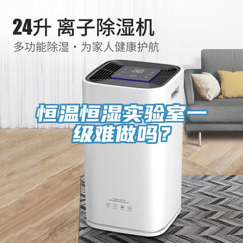 恒温恒湿实验室一级难做吗？