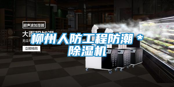 柳州人防工程防潮＊小黄片直播视频