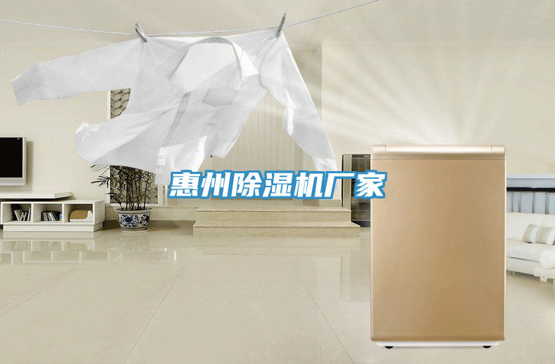 惠州小黄片直播视频厂家
