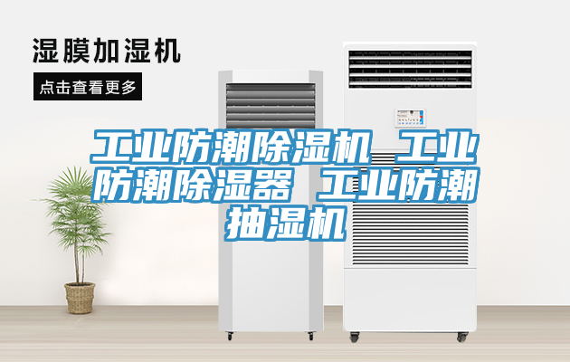 工业防潮小黄片直播视频 工业防潮除湿器 工业防潮抽湿机