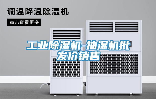 工业小黄片直播视频-抽湿机批发价销售