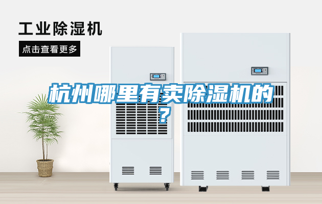 杭州哪里有卖小黄片直播视频的？