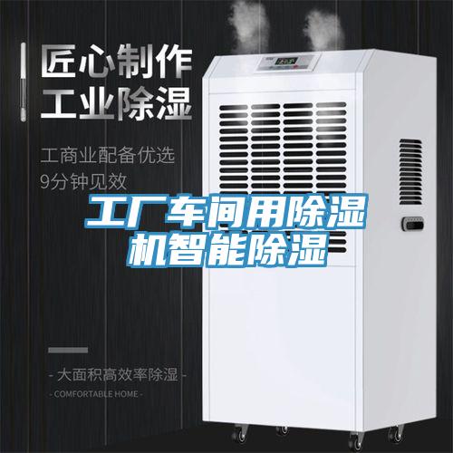 工厂车间用小黄片直播视频智能除湿
