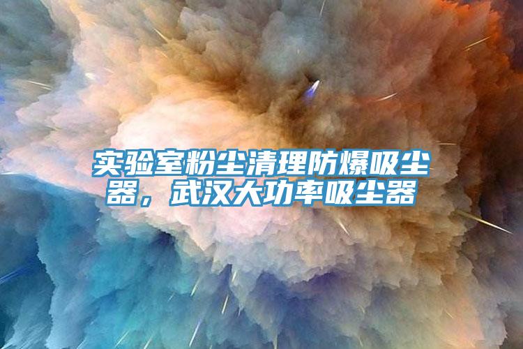 实验室粉尘清理防爆吸尘器，武汉大功率吸尘器