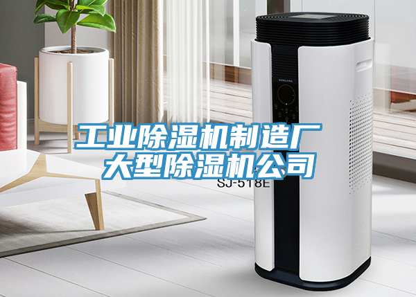 工业小黄片直播视频制造厂 大型小黄片直播视频公司