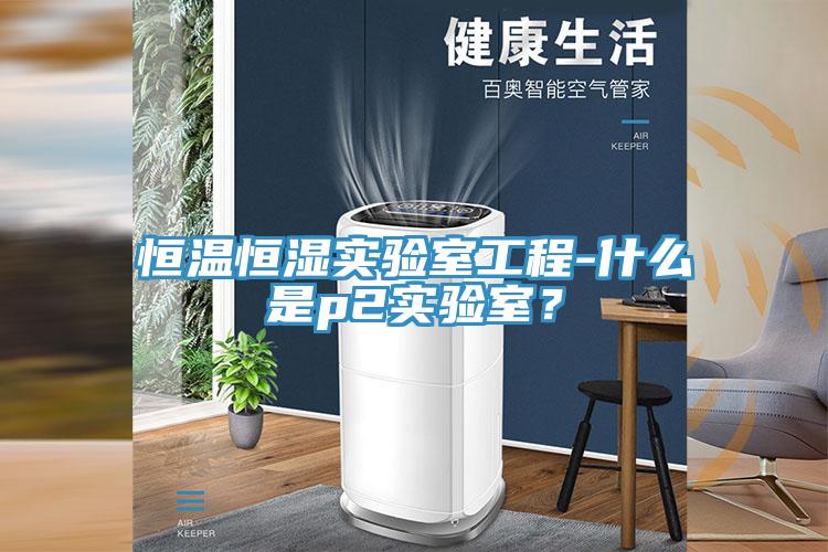 恒温恒湿实验室工程-什么是p2实验室？