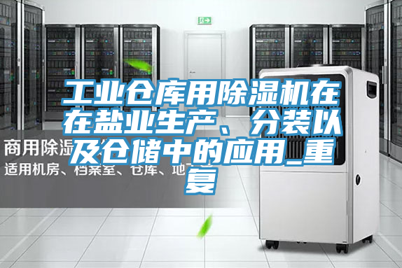 工业仓库用小黄片直播视频在在盐业生产、分装以及仓储中的应用_重复