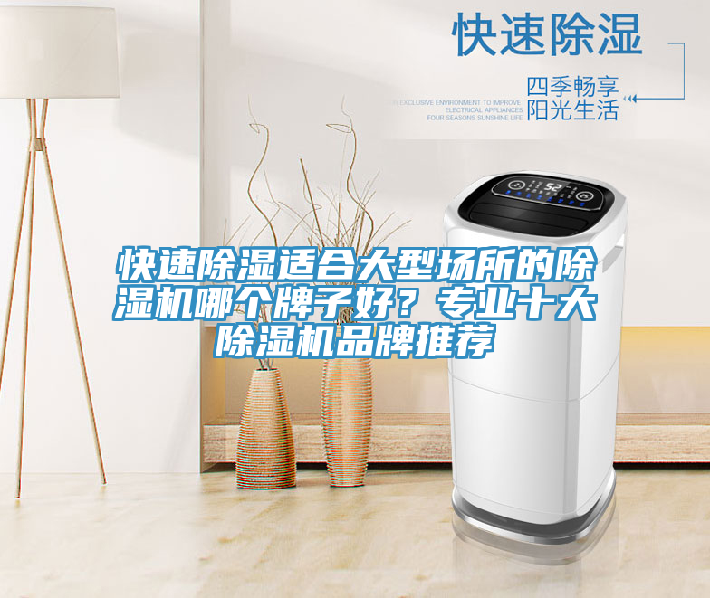 快速除湿适合大型场所的小黄片直播视频哪个牌子好？专业十大小黄片直播视频品牌推荐