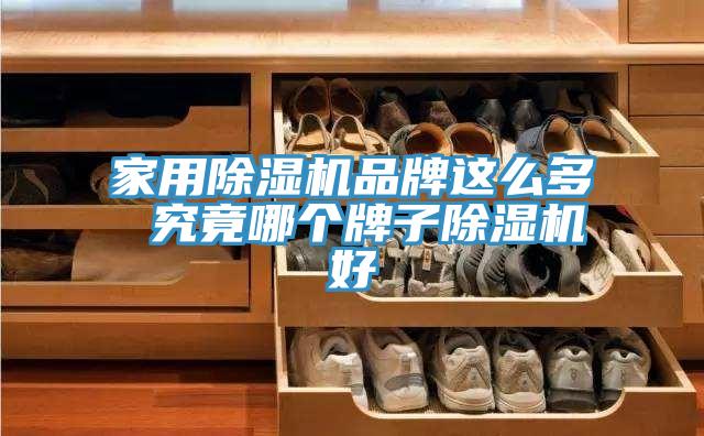 家用小黄片直播视频品牌这么多 究竟哪个牌子小黄片直播视频好