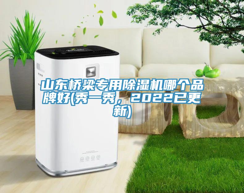 山东桥梁专用小黄片直播视频哪个品牌好(秀一秀，2022已更新)