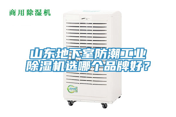 山东地下室防潮工业小黄片直播视频选哪个品牌好？