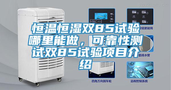恒温恒湿双85试验哪里能做，可靠性测试双85试验项目介绍
