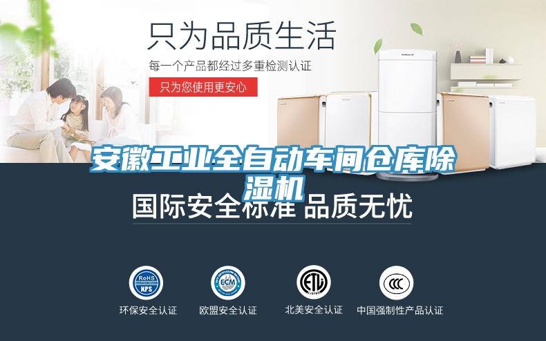安徽工业全自动车间仓库小黄片直播视频