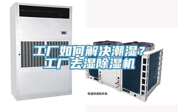 工厂如何解决潮湿？工厂去湿小黄片直播视频