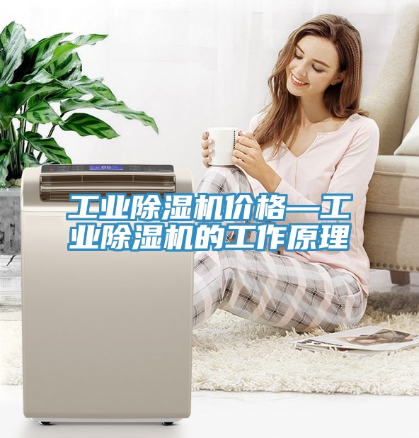 工业小黄片直播视频价格—工业小黄片直播视频的工作原理