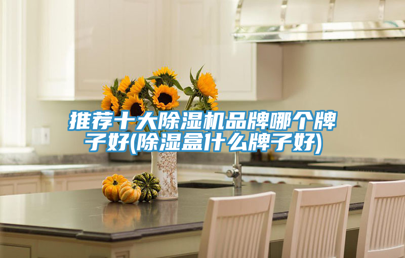 推荐十大小黄片直播视频品牌哪个牌子好(除湿盒什么牌子好)
