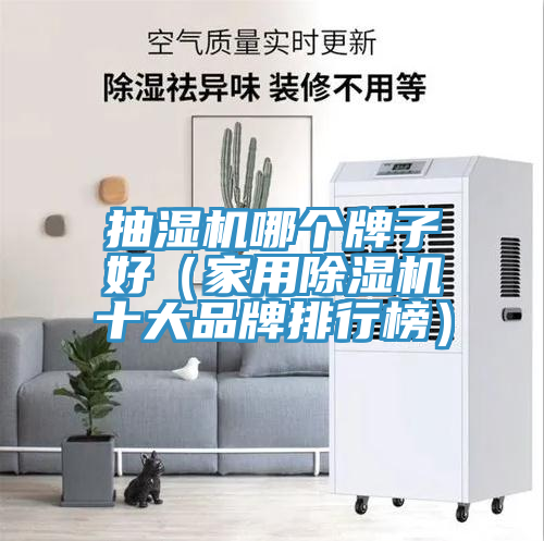 抽湿机哪个牌子好（家用小黄片直播视频十大品牌排行榜）