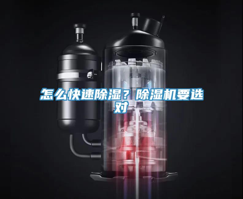 怎么快速除湿？小黄片直播视频要选对