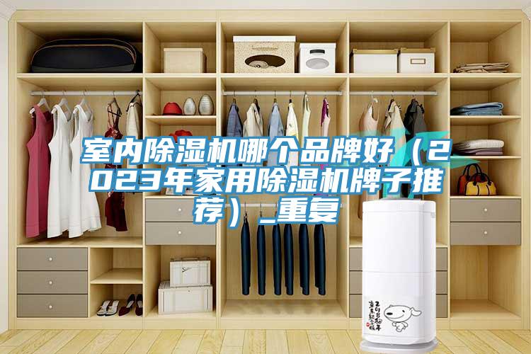 室内小黄片直播视频哪个品牌好（2023年家用小黄片直播视频牌子推荐）_重复