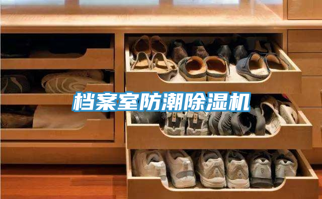 档案室防潮小黄片直播视频