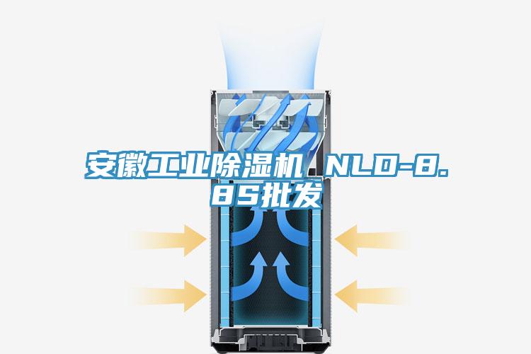 安徽工业小黄片直播视频 NLD-8.8S批发