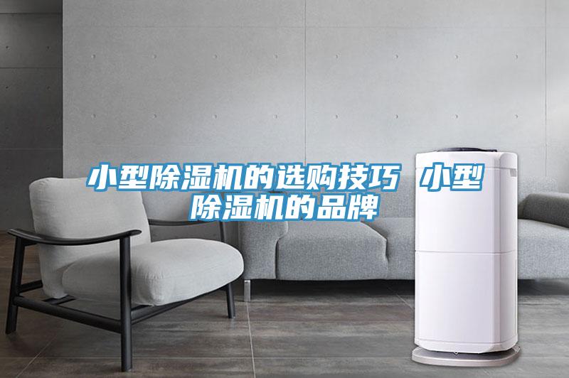 小型小黄片直播视频的选购技巧 小型小黄片直播视频的品牌
