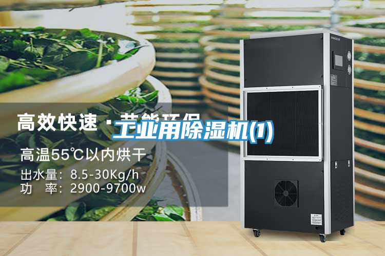 工业用小黄片直播视频(1)