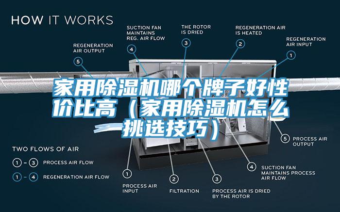 家用小黄片直播视频哪个牌子好性价比高（家用小黄片直播视频怎么挑选技巧）