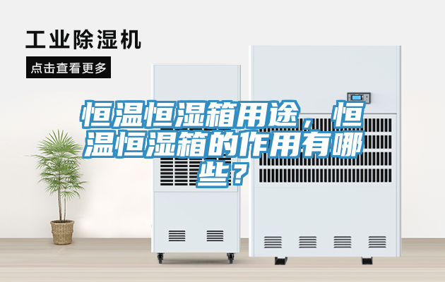 恒温恒湿箱用途，恒温恒湿箱的作用有哪些？