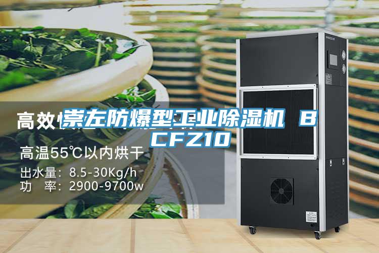 崇左防爆型工业小黄片直播视频 BCFZ10