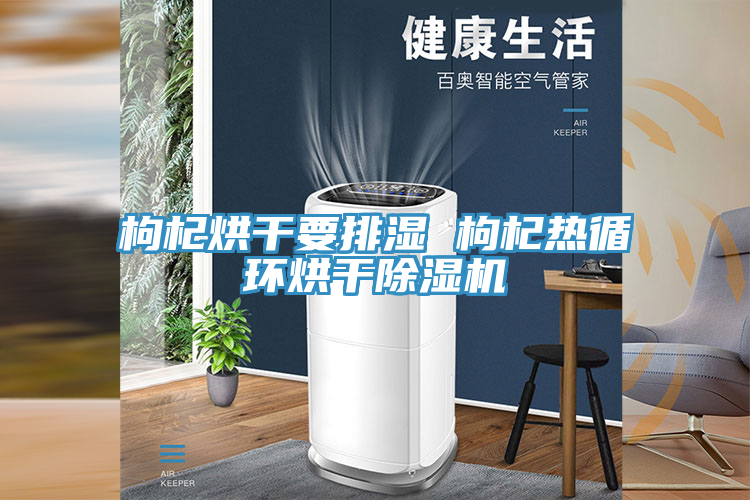 枸杞烘干要排湿 枸杞热循环烘干小黄片直播视频