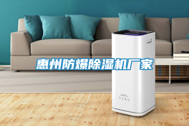 惠州防爆小黄片直播视频厂家