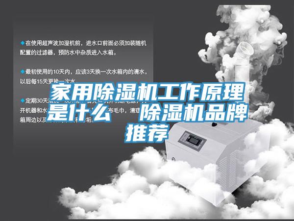 家用小黄片直播视频工作原理是什么  小黄片直播视频品牌推荐