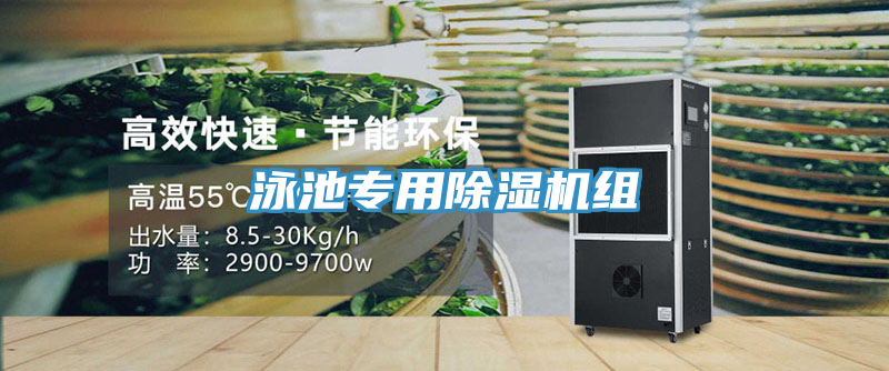 泳池专用小黄片直播视频组