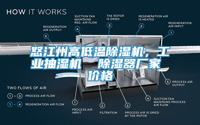 怒江州高低温小黄片直播视频，工业抽湿机  除湿器厂家 价格