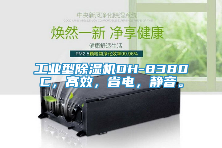 工业型小黄片直播视频DH-8380C，高效，省电，静音。
