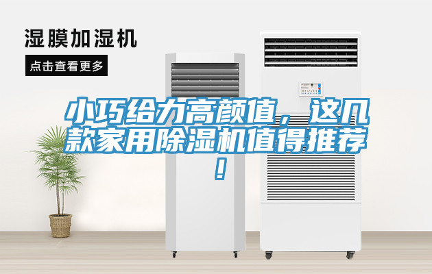 小巧给力高颜值，这几款家用小黄片直播视频值得推荐！