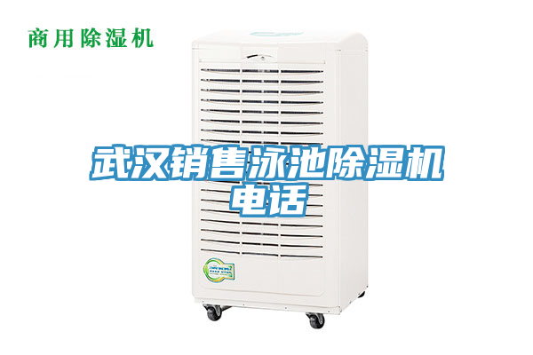 武汉销售泳池小黄片直播视频电话
