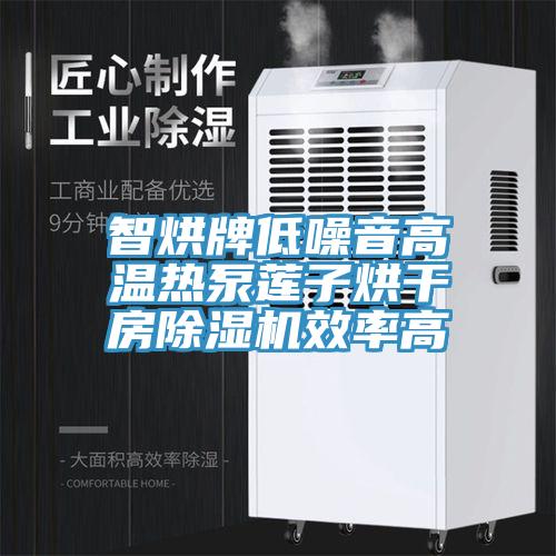 智烘牌低噪音高温热泵莲子烘干房小黄片直播视频效率高