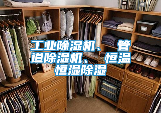 工业小黄片直播视频、 管道小黄片直播视频、 恒温恒湿除湿