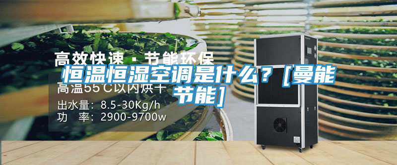 恒温恒湿空调是什么？[曼能节能]