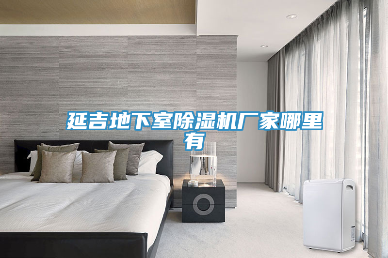 延吉地下室小黄片直播视频厂家哪里有