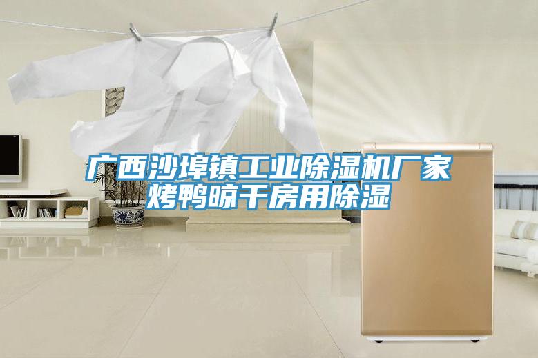 广西沙埠镇工业小黄片直播视频厂家烤鸭晾干房用除湿