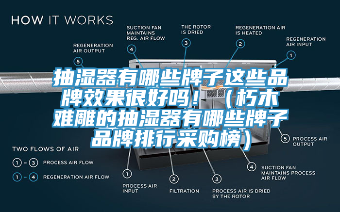 抽湿器有哪些牌子这些品牌效果很好吗！（朽木难雕的抽湿器有哪些牌子品牌排行采购榜）