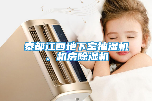 泰都江西地下室抽湿机、机房小黄片直播视频