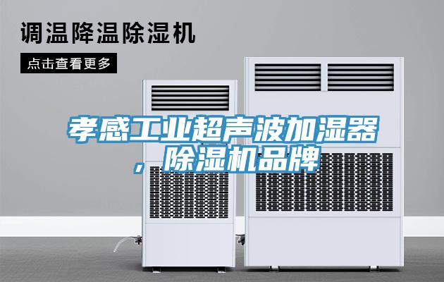 孝感工业超声波加湿器，小黄片直播视频品牌