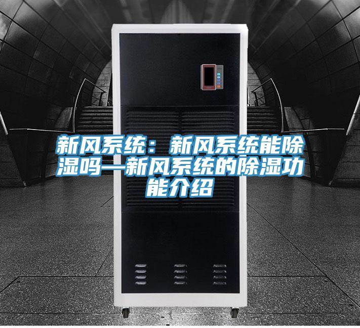新风系统：新风系统能除湿吗—新风系统的除湿功能介绍