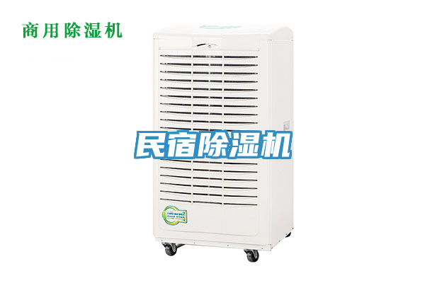 民宿小黄片直播视频