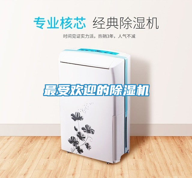 最受欢迎的小黄片直播视频